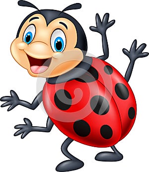 Cartoon ladybug waving photo