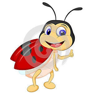 Cartoon ladybugs posing photo