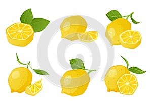 Cartoon Lemon compositions. Vector illustration set collection