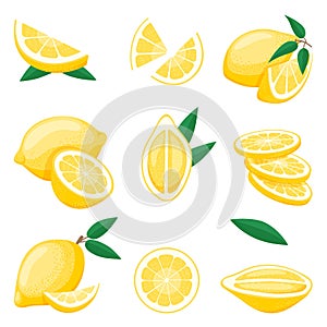 Cartoon lemon cut. Citrus slices, fresh lemons piece. Isolated yellow fruits, lemonade raw ingredients. Flat cartoon