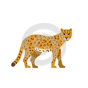 Cartoon leopard on a white background.Flat cartoon illustration for kids
