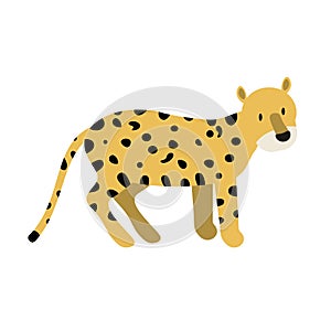 Cartoon leopard on a white background.Flat cartoon illustration for kids. EPS