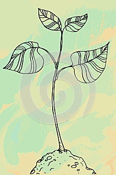 Cartoon line art growing sprout. Plant leaves seed grow soil seedling eco natural farm concept design one sketch outline