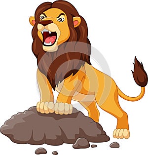 Cartoon lion roaring isolated on white background