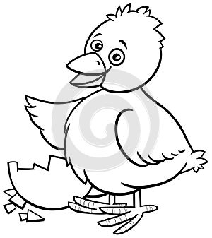 cartoon little chick hatched from egg coloring page