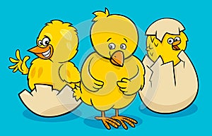 Cartoon little chickens hatching from eggs