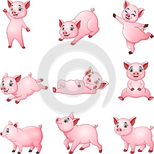 Cartoon little pigs collection with different posing