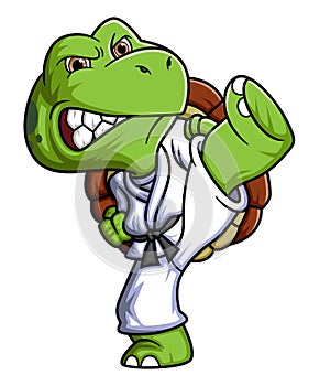 Cartoon little turtle training karate