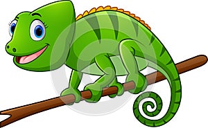 Cartoon lizard on branch