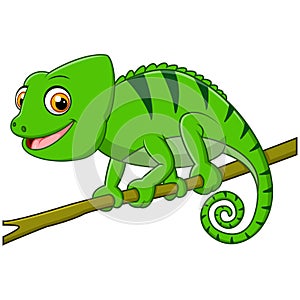 Cartoon lizard on branch