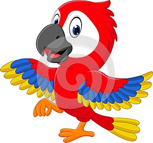 Cartoon macaw