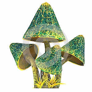 cartoon magical fantasy beautiful mushroom, 3d illustration,