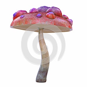 cartoon magical fantasy beautiful mushroom, 3d illustration,