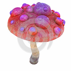 cartoon magical fantasy beautiful mushroom, 3d illustration,