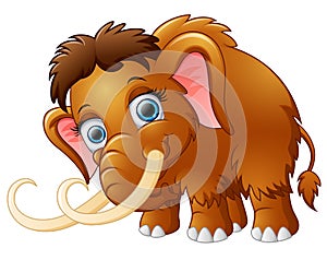 Cartoon mammoth isolated on white background photo
