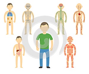 Cartoon man body anatomy.