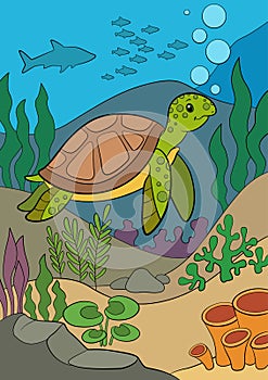 Cartoon marine animals. Little cute green sea turtle swims underwater and smiles