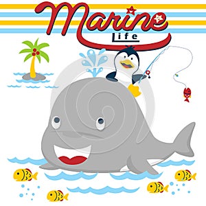Cartoon of marine animals on white background