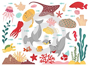 Cartoon marine life. Sea world animal, underwater fish plants objects. Ocean wild fauna shark turtle, flat aquarium