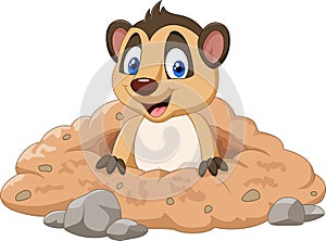 Cartoon meerkat in a hole