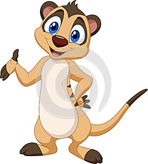 Cartoon meerkat posing