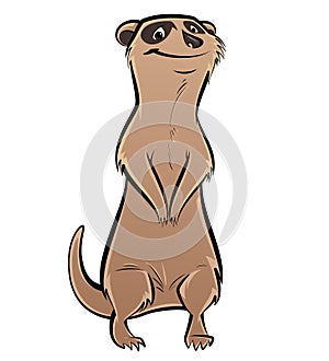 Cartoon meerkat, suricate, suricata, suricatta photo