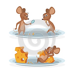 Cartoon mice on cheese plate vector illustration. Mouse with cheese isolated on white background