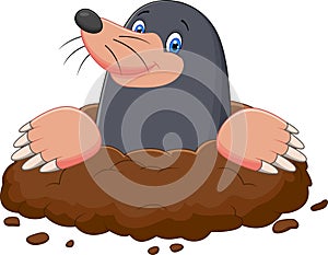 Cartoon mole gesturing