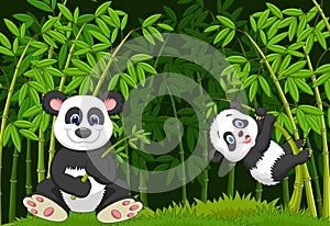 Cartoon mom and baby panda in the climbing bamboo tree
