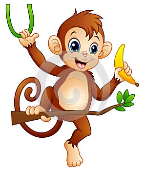 Cartoon monkey on a branch tree and holding banana