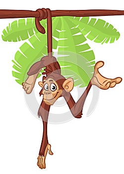 Cartoon monkey chimpanzee hang down the tree.