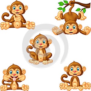 Cartoon monkey collection set