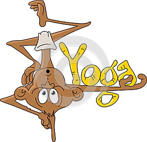 Cartoon monkey doing yoga vector