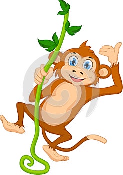 Cartoon monkey hanging