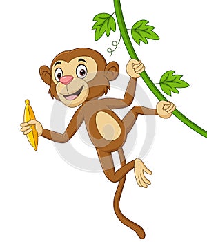 Cartoon monkey hanging and holds banana in tree branch