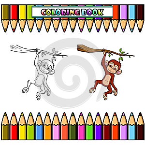Cartoon monkey hanging in tree branch for coloring book