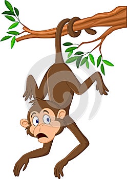 Cartoon monkey hanging on the tree branch with his tail