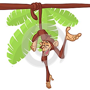 Cartoon monkey hanging from the tree on its tail. Vector illustration