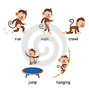 Cartoon monkey vocabulary