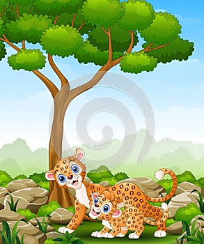 Cartoon mother leopard and cub leopard in the jungle