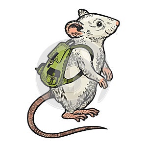 Cartoon mouse and backpack color sketch vector