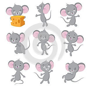 Cartoon mouse. Gray mice in different poses. Cute wild rat animal vector characters