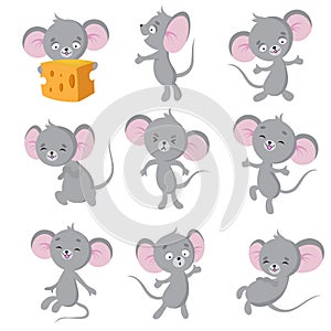 Cartoon mouse. Gray mice in different poses. Cute wild rat animal vector characters photo
