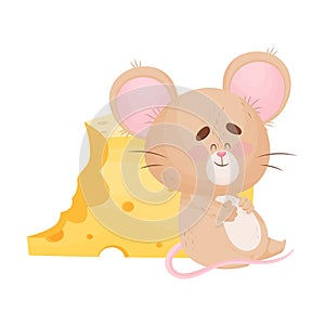 Cartoon mouse is sitting near a piece of cheese. Vector illustration.