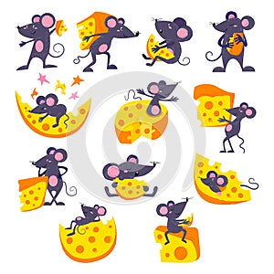 Cartoon mouse vector mousy animal character rodent and funny rat with cheese eating cheesy food illustration mousey set