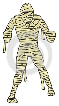 Cartoon Mummy