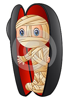Cartoon mummy in a coffin
