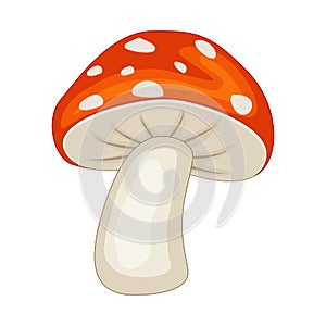 Cartoon mushroom isolated on white background. Vector