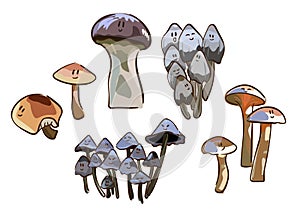 Cartoon mushrooms. Poisonous and edible mushroom, chanterelle, cep, amanita and truffle isolated vector illustration set. Forest