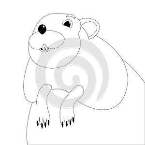 Cartoon muskrat face, vector illustration , lining draw